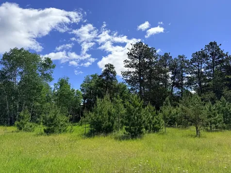 Tbd - 24.4 Ac County 4 Park Rapids MN 56470