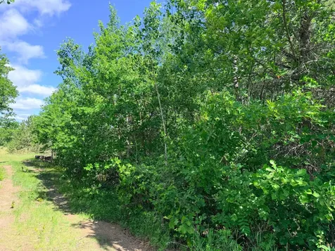 Tbd - 24.4 Ac County 4 Park Rapids MN 56470