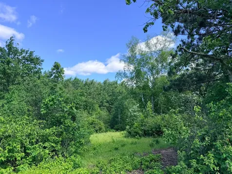 Tbd - 24.4 Ac County 4 Park Rapids MN 56470