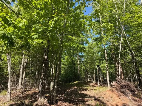 54003 Dollar Lake Road Sandstone MN 55072