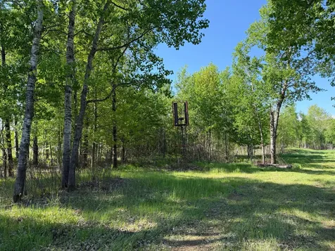 54003 Dollar Lake Road Sandstone MN 55072
