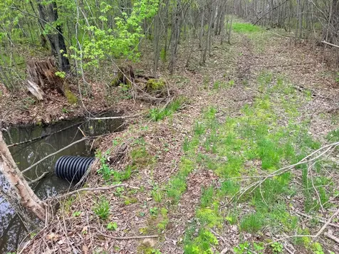 54003 Dollar Lake Road Sandstone MN 55072