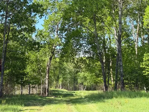 54003 Dollar Lake Road Sandstone MN 55072