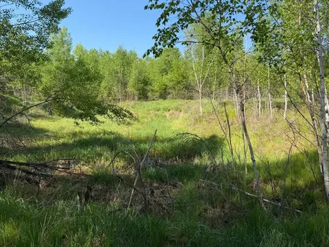 54003 Dollar Lake Road Sandstone MN 55072