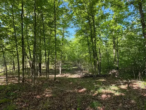 54003 Dollar Lake Road Sandstone MN 55072