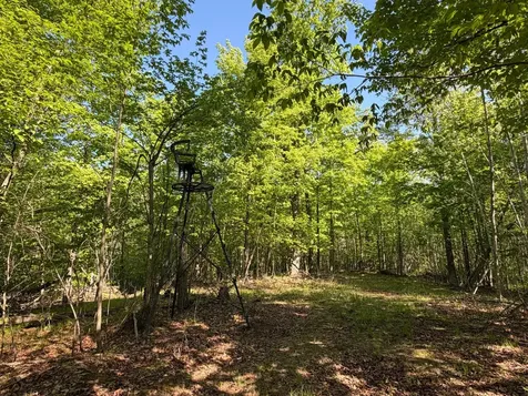 54003 Dollar Lake Road Sandstone MN 55072