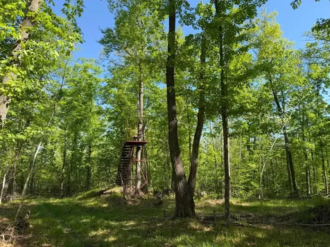 54003 Dollar Lake Road Sandstone MN 55072