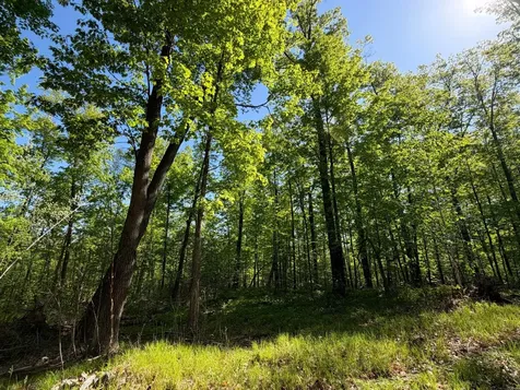 54003 Dollar Lake Road Sandstone MN 55072