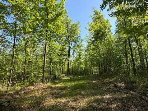 54003 Dollar Lake Road Sandstone MN 55072