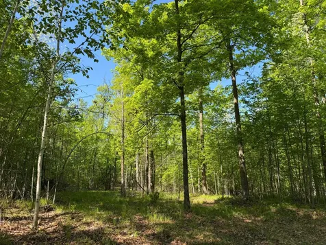54003 Dollar Lake Road Sandstone MN 55072