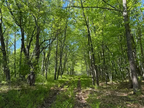 54003 Dollar Lake Road Sandstone MN 55072
