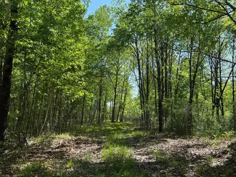54003 Dollar Lake Road Sandstone MN 55072