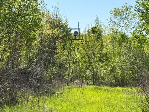 54003 Dollar Lake Road Sandstone MN 55072
