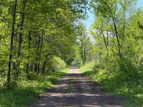 54003 Dollar Lake Road Sandstone MN 55072
