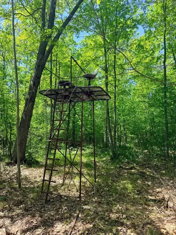 54003 Dollar Lake Road Sandstone MN 55072
