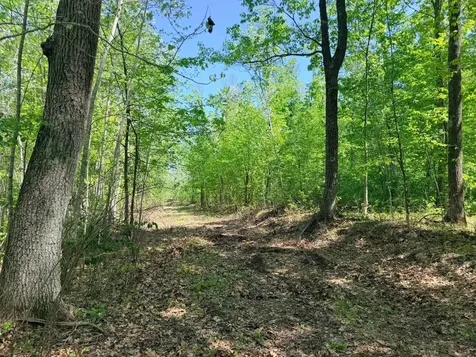 54003 Dollar Lake Road Sandstone MN 55072