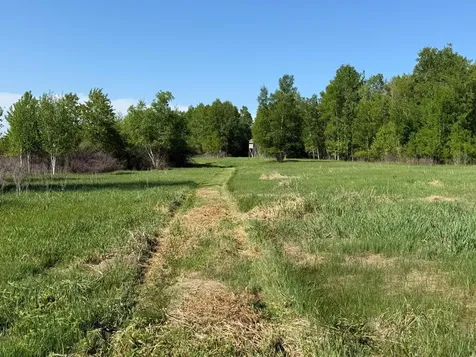 54003 Dollar Lake Road Sandstone MN 55072