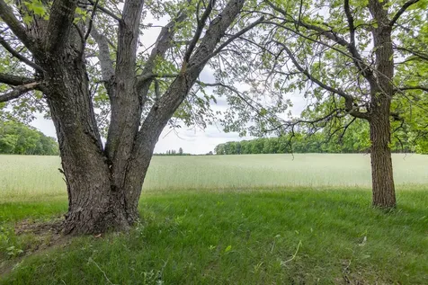 14034 Knob Hill Road Wadena MN 56482