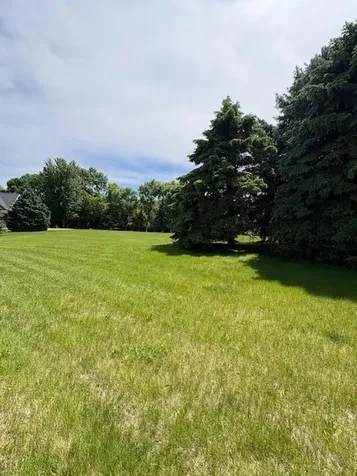 103 S 20th Street Montevideo MN 56265