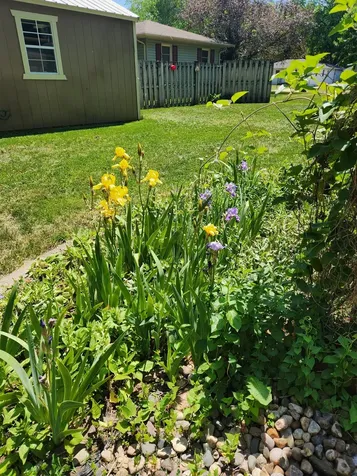 2606 Pearl Court SE Rochester MN 55904