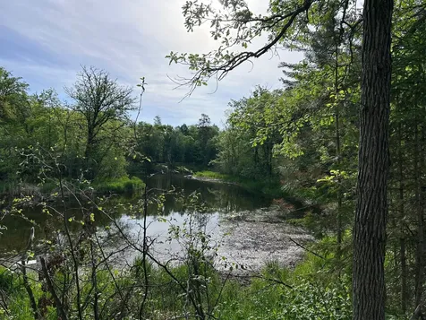 Tbd Front Street Pine River MN 56474