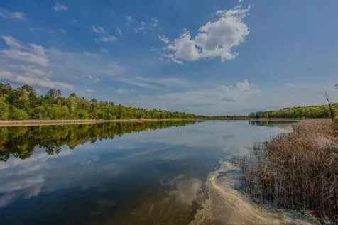 19488 County Road 125 Park Rapids MN 56470