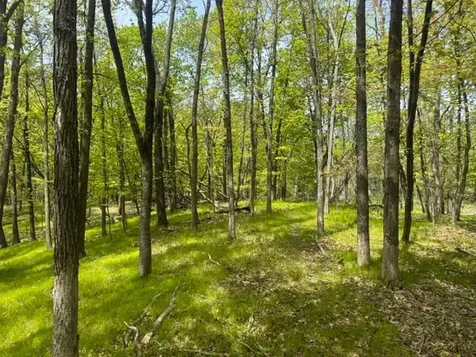 Tbd Maple View Court Excelsior MN 55331