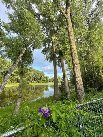 4830 Babcock Trail Inver Grove Heights MN 55077