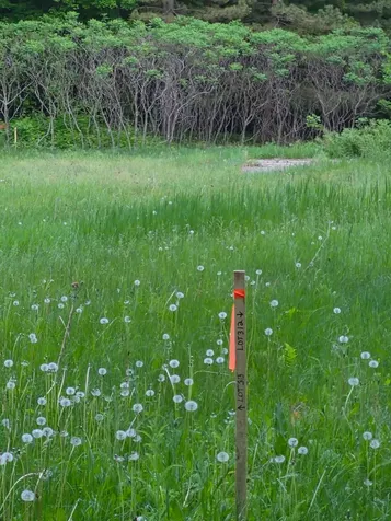 Tbd Lot 312 & 313 197th Avenue Mcgregor MN 55760