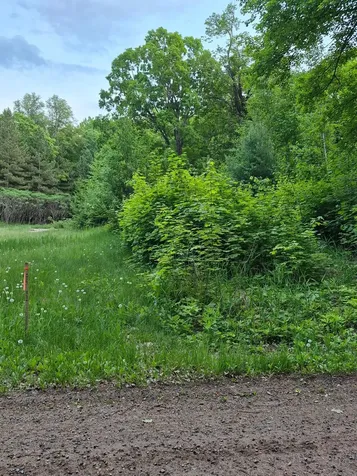 Tbd Lot 312 & 313 197th Avenue Mcgregor MN 55760