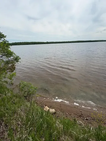21319 County Road 1 Emily MN 56447