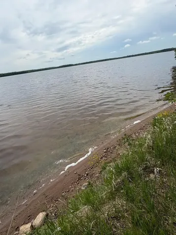 21319 County Road 1 Emily MN 56447