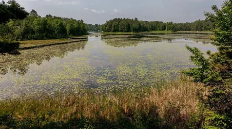 5033 Barnum Road NW Hackensack MN 56452