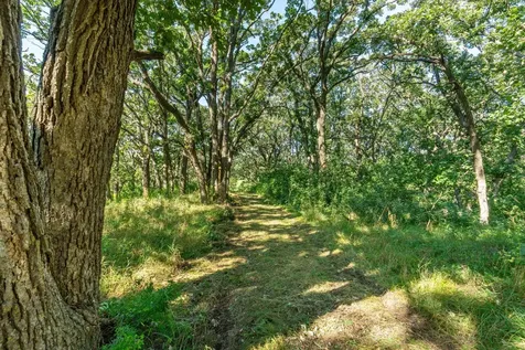 Tbd 344th Avenue Everts Twp MN 56515