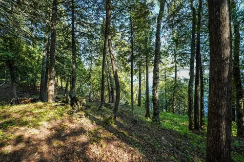 4891 Lake Vermilion N Tower MN 55790