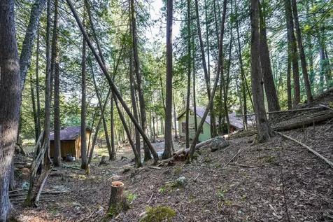 4891 Lake Vernilion N Tower MN 55790