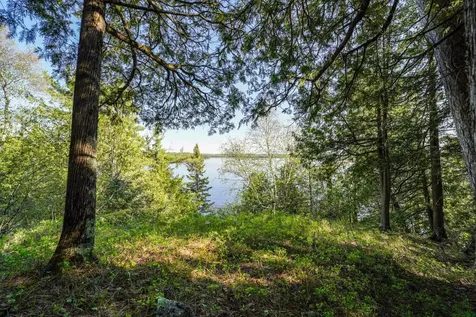4891 Lake Vermilion N Tower MN 55790
