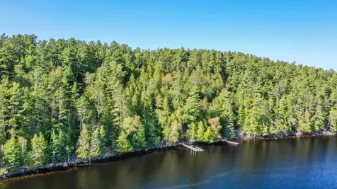 4891 Lake Vernilion N Tower MN 55790
