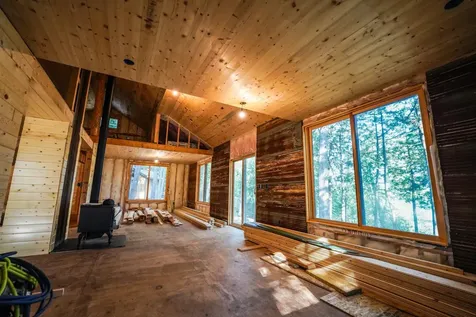 4891 Lake Vermilion N Tower MN 55790