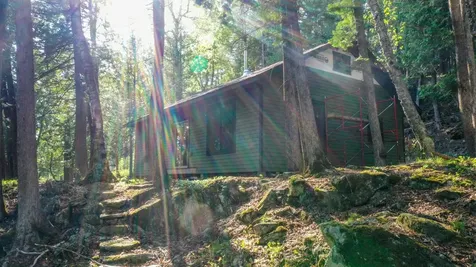4891 Lake Vermilion N Tower MN 55790