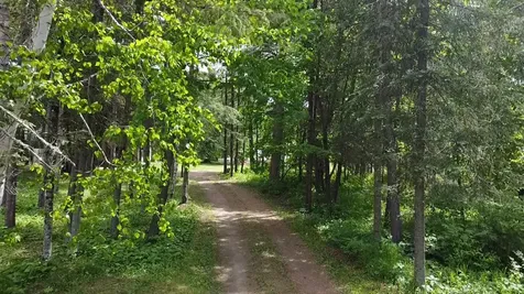 29156 State Highway 47 Aitkin MN 56431