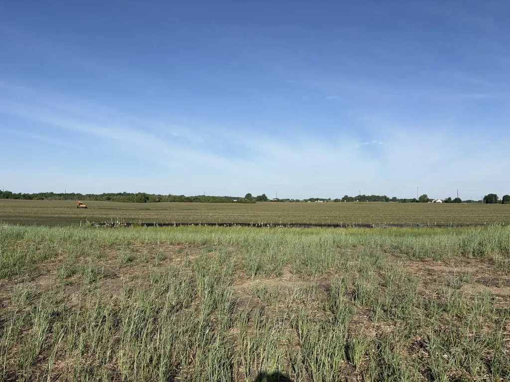 460 Ramey Road Maple Lake MN 55358