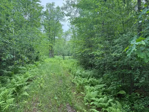 10551 Mallard Road Brook Park MN 55007