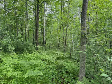 10551 Mallard Road Brook Park MN 55007