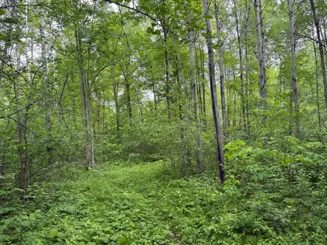 10551 Mallard Road Brook Park MN 55007
