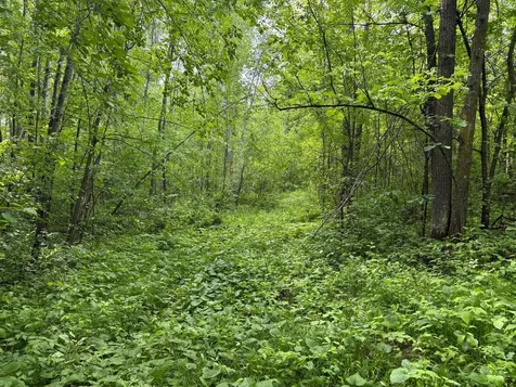 10551 Mallard Road Brook Park MN 55007