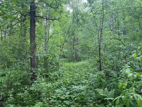 10551 Mallard Road Brook Park MN 55007