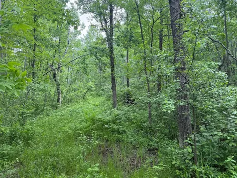 10551 Mallard Road Brook Park MN 55007