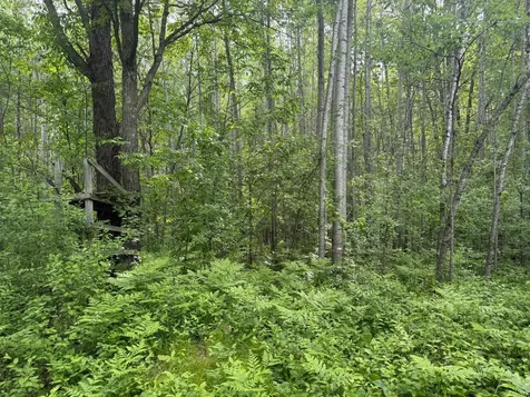 10551 Mallard Road Brook Park MN 55007