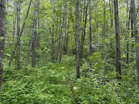10551 Mallard Road Brook Park MN 55007